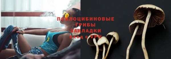 хмурый Кукмор