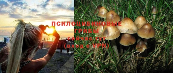 хмурый Кукмор