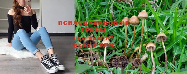хмурый Кулебаки