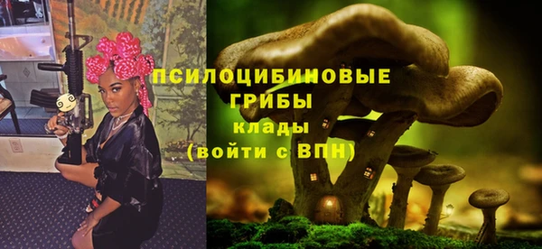 хмурый Кукмор