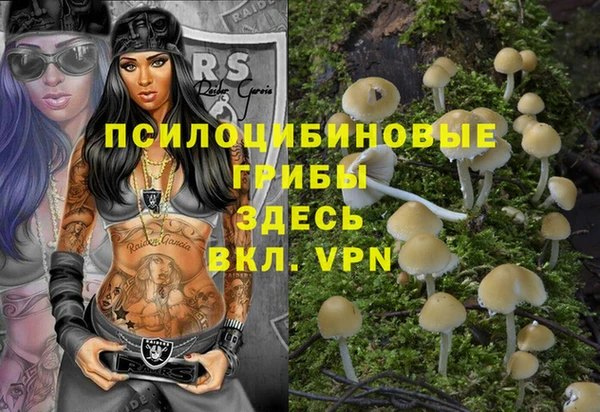 хмурый Кукмор