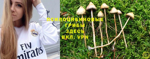 MESCALINE Куйбышев