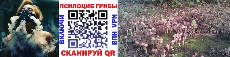 Купить  Лабинск  Галлюциногенные грибы Magic Shrooms 
